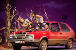 Svenja Viola Bungarten