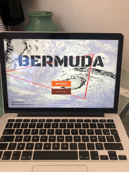 Svenja Viola Bungarten